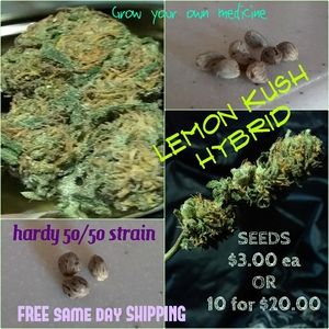 LEMON KUSH SEEDS
10 for $20.00!